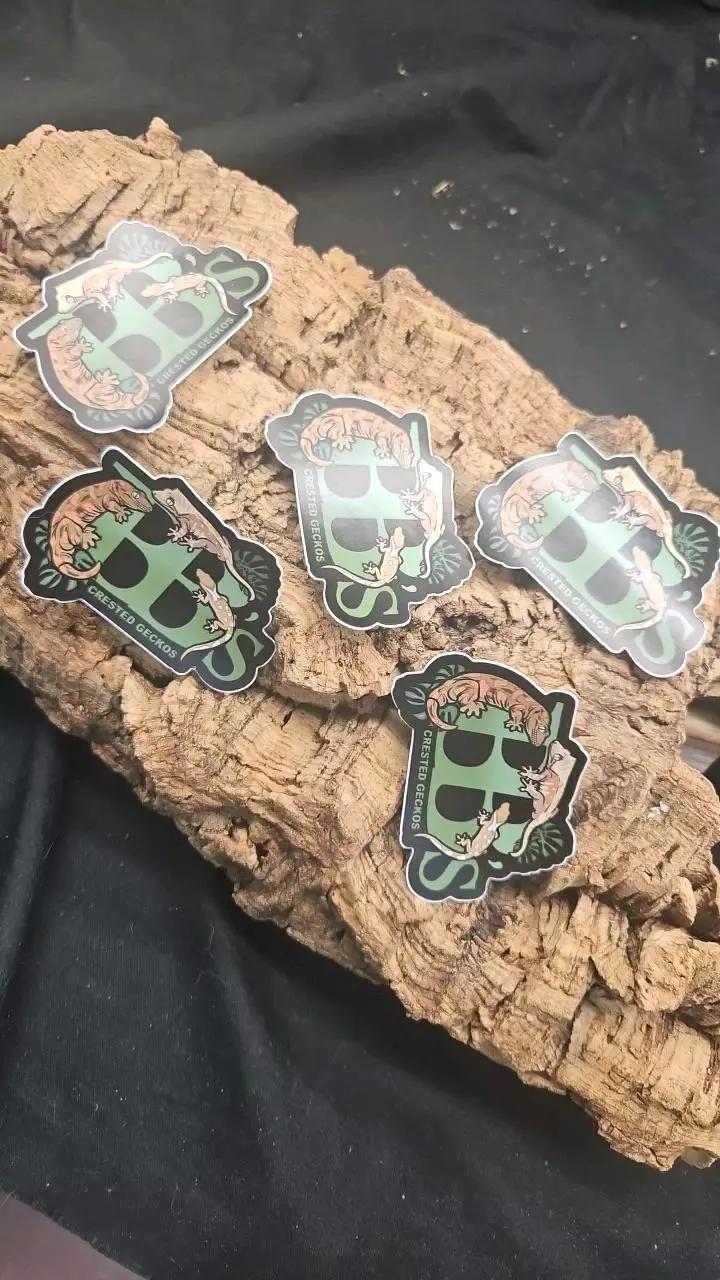plant/5pack stickers-0