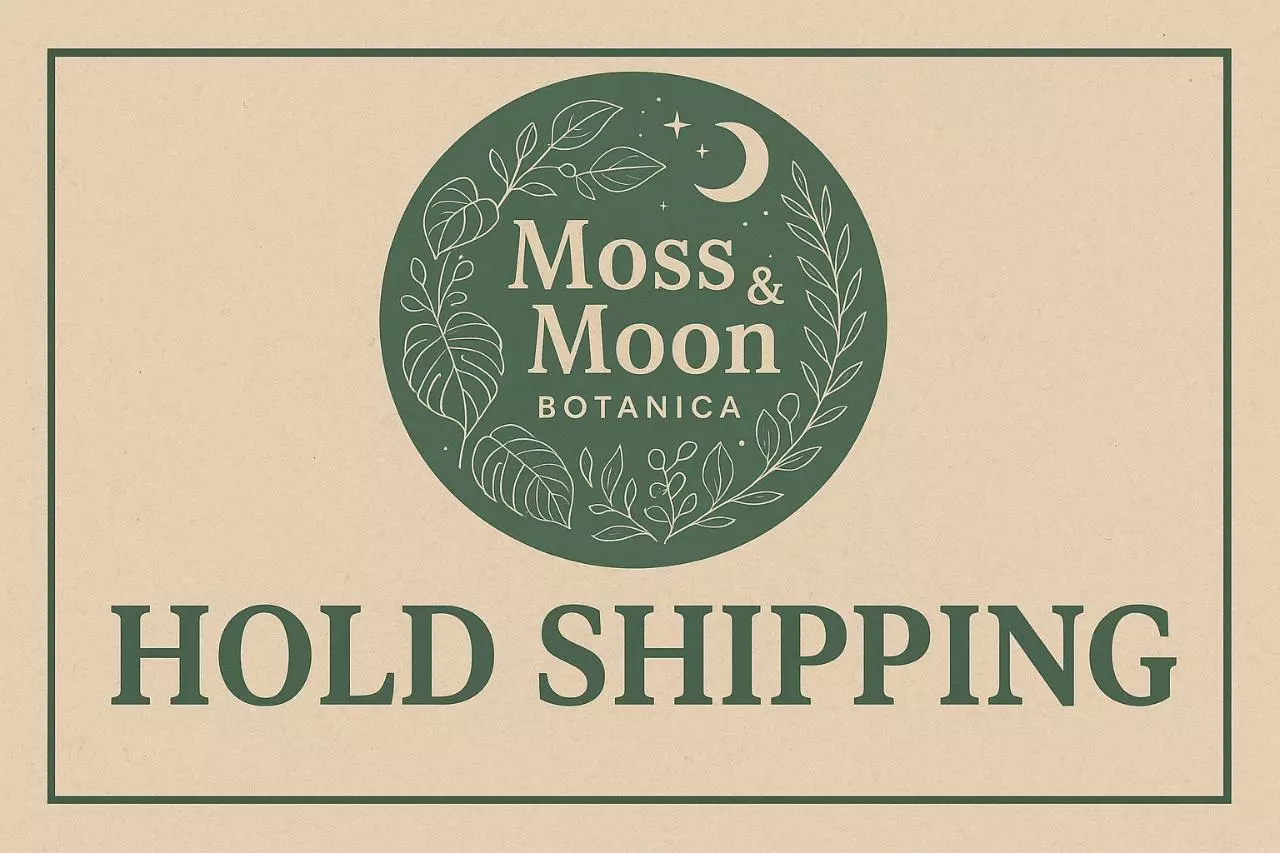 free_shipping/Hold Shipping 1 Week from purchase date-0