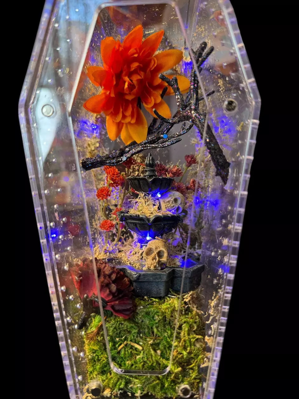 plant/Skull Fountain Coffin Enclosure-0