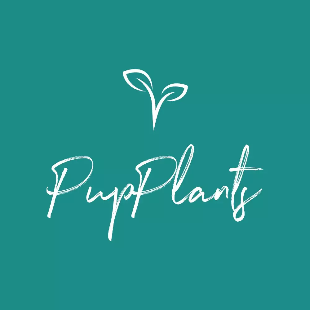 plant/Brownie Plugs-0