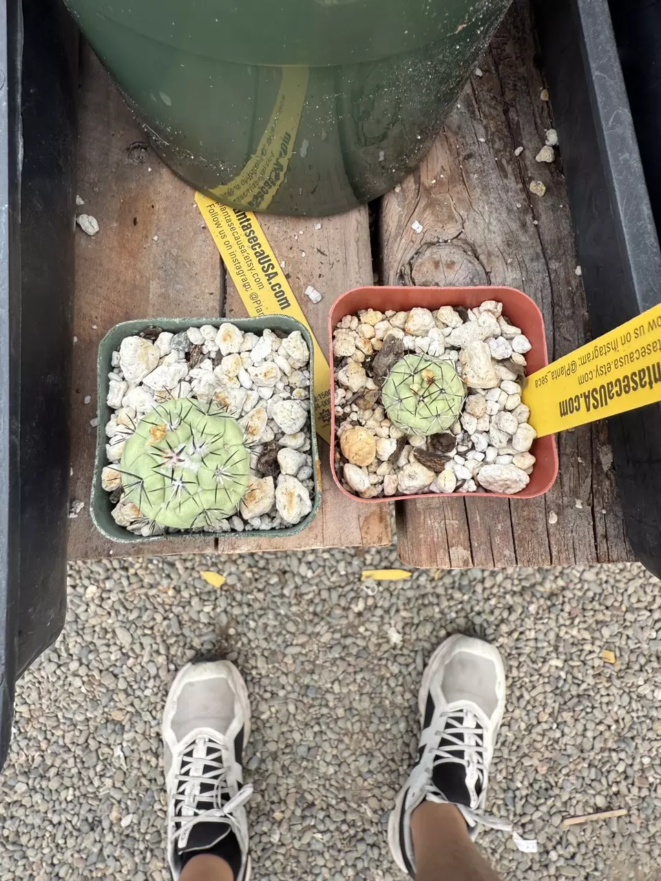 plant/Ortego upgrade-0