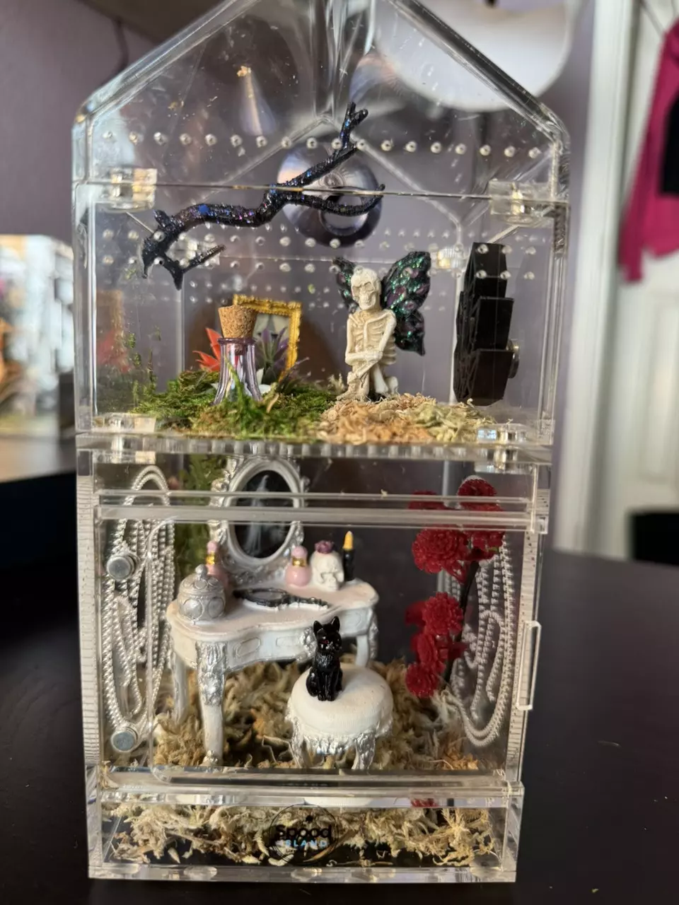 plant/2 spood house or 1 adult converted-0