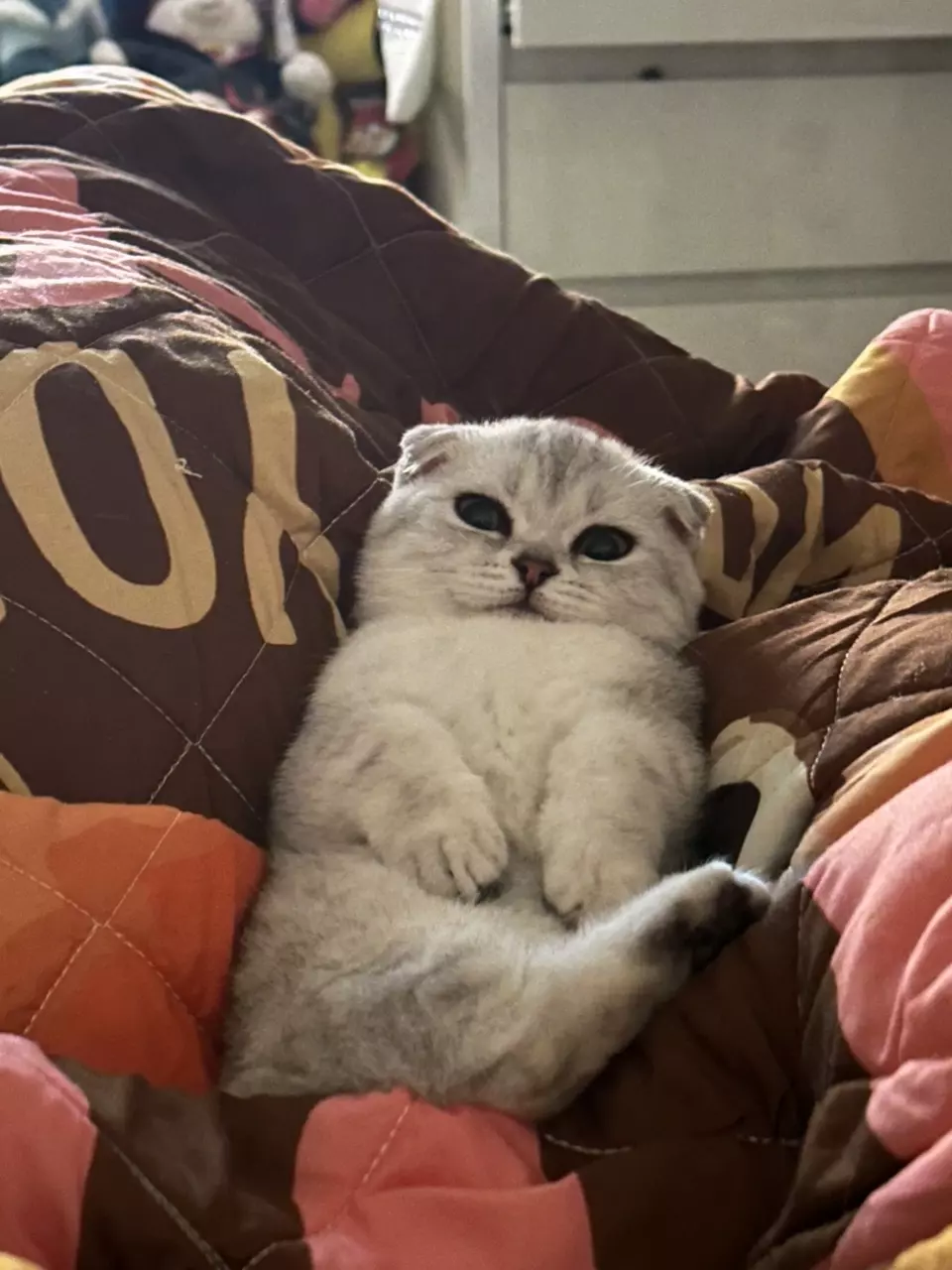 insulation/Insulation-0