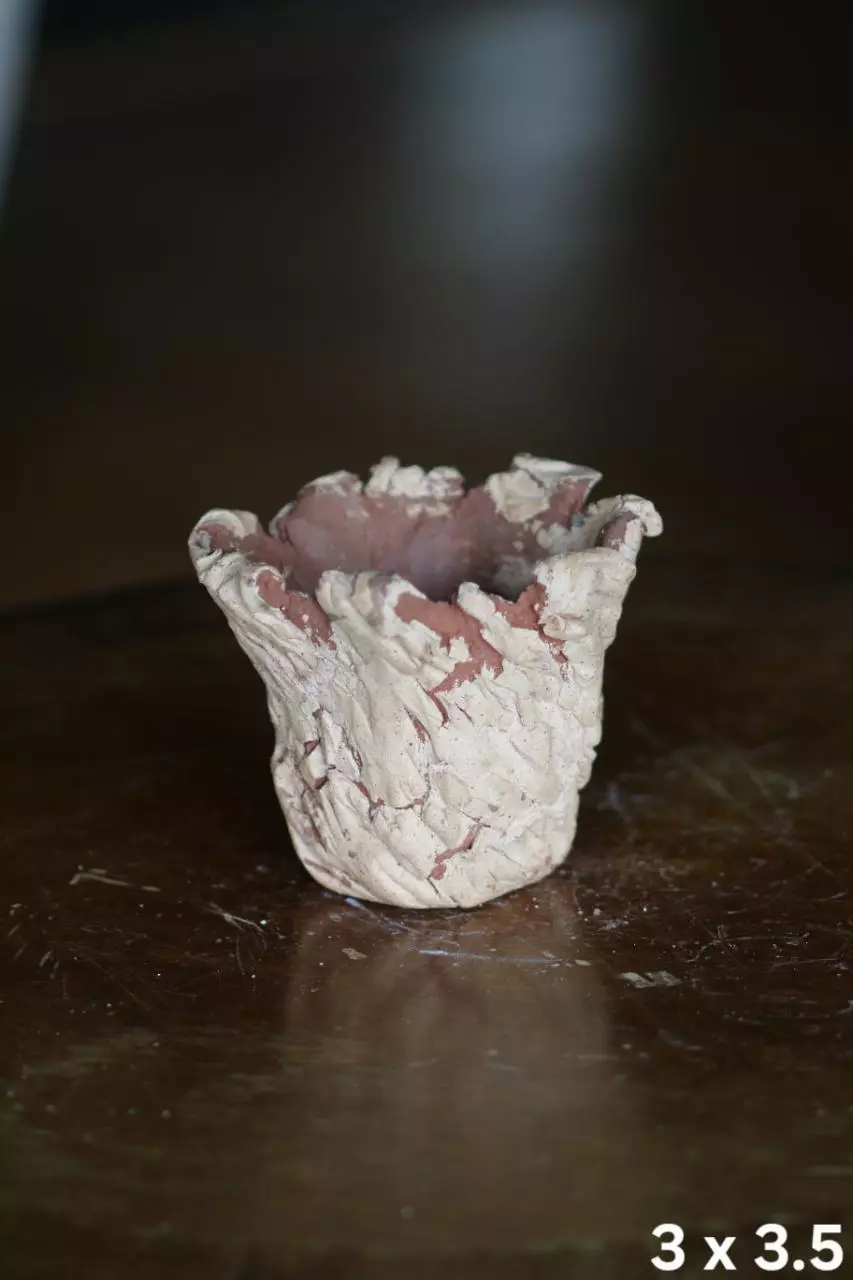 plant/Handmade ceramic pot with drainage-0