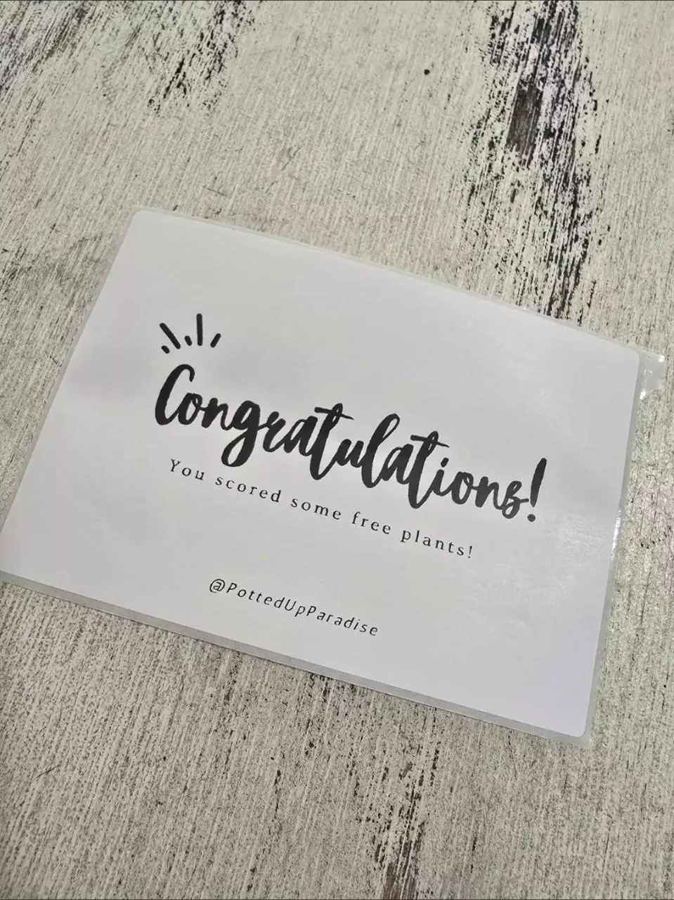 plant/"You scored free plants" Box Label-0