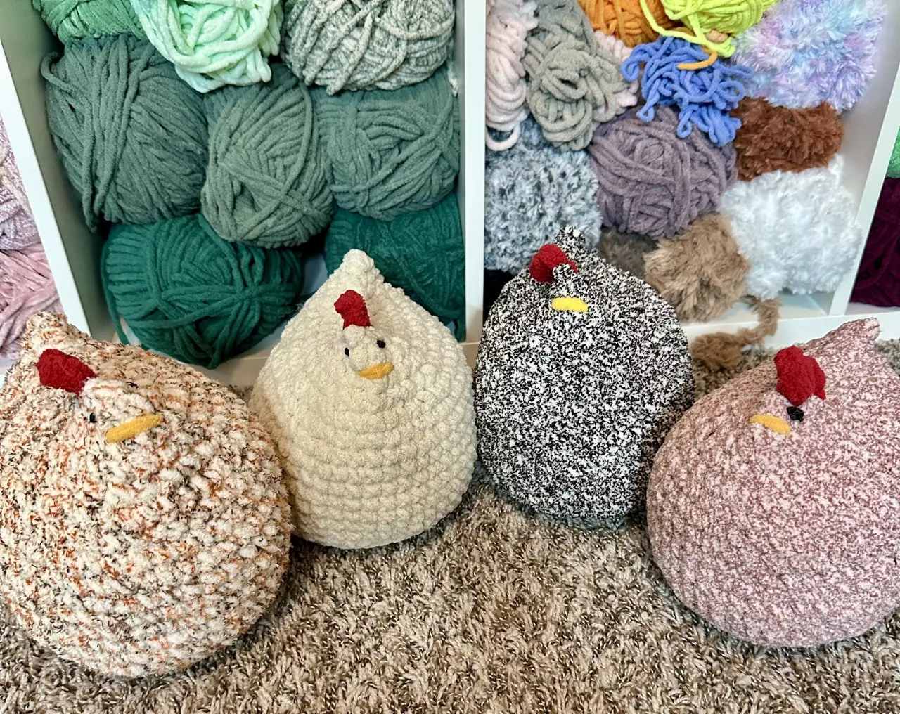 plant/JUMBO Mabel chickens-0