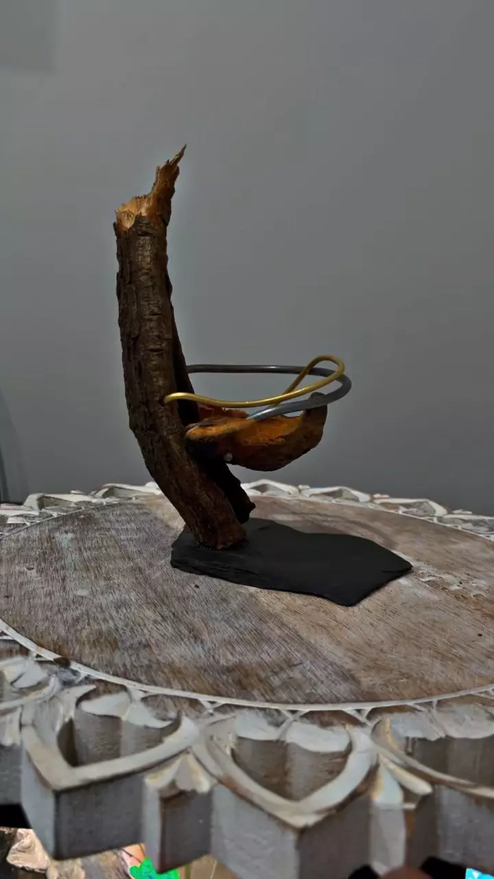 plant/Artistic planter-0