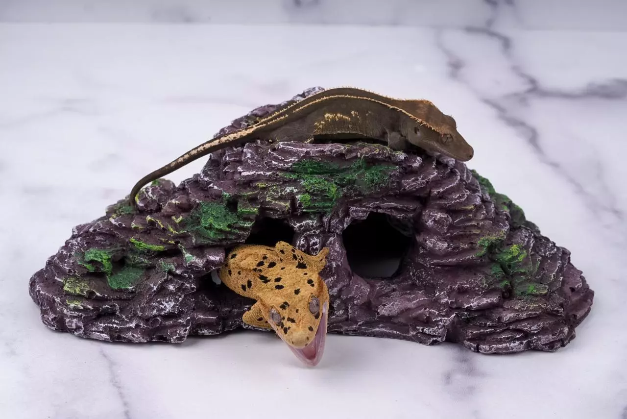 plant/Mossy Rock Bridge & Cave Hide – 8.5” x 4” x 3”-0