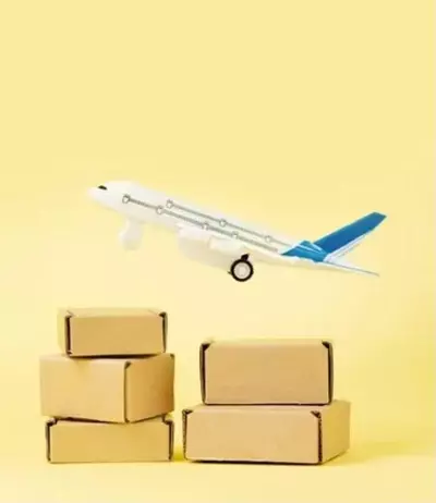 shipping_upgrade/next day air upgrade-0-thumbnail