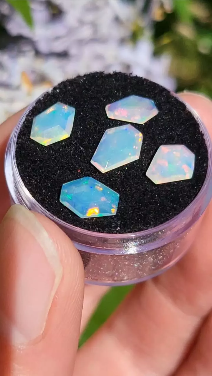 plant/Ethiopian opal coffin (only 1)-0