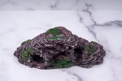 plant/Mossy Rock Bridge & Cave Hide – 8.5” x 4” x 3”-3-thumbnail