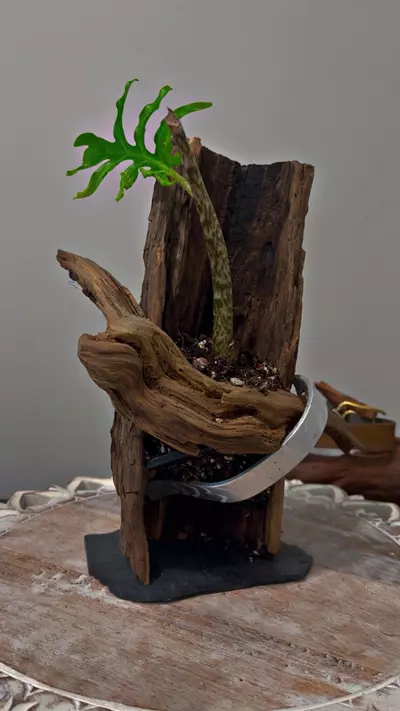 plant/Artistic planter-1-thumbnail