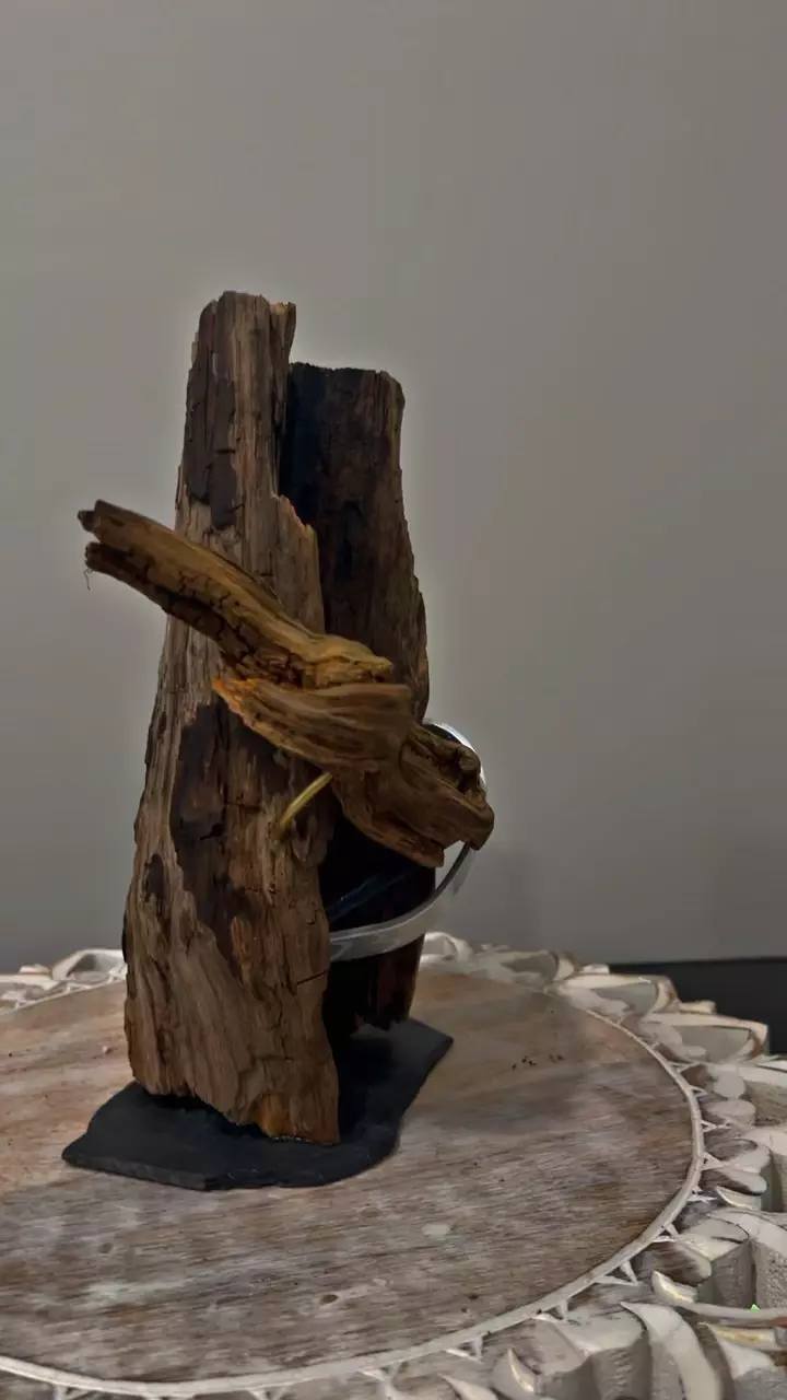 plant/Artistic planter-0