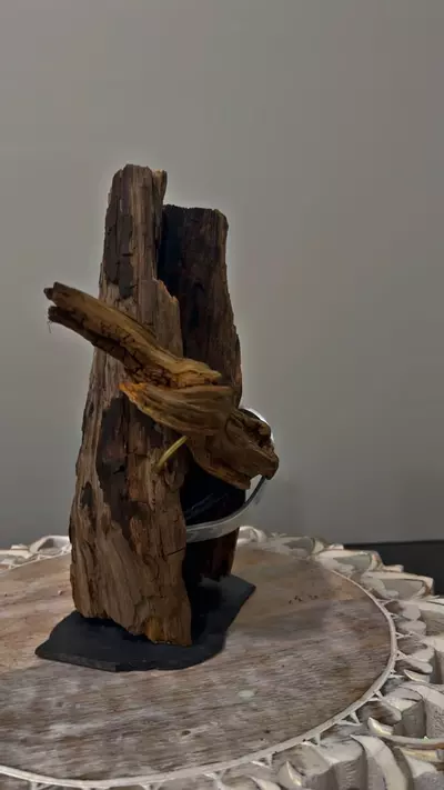 plant/Artistic planter-0-thumbnail