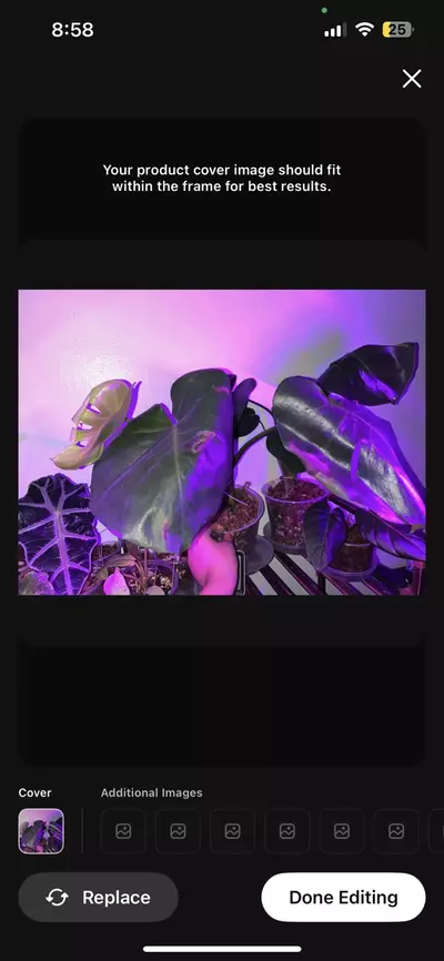 plant/Monstera deliciosa-0-thumbnail