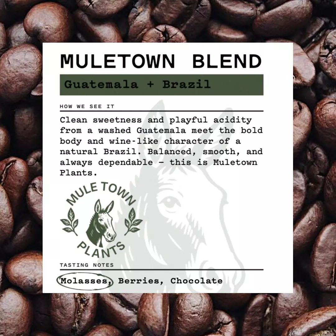 plant/CoffeeHaus x Muletown Plants: Whole Bean Medium Roast Coffee - 12oz Bag-0