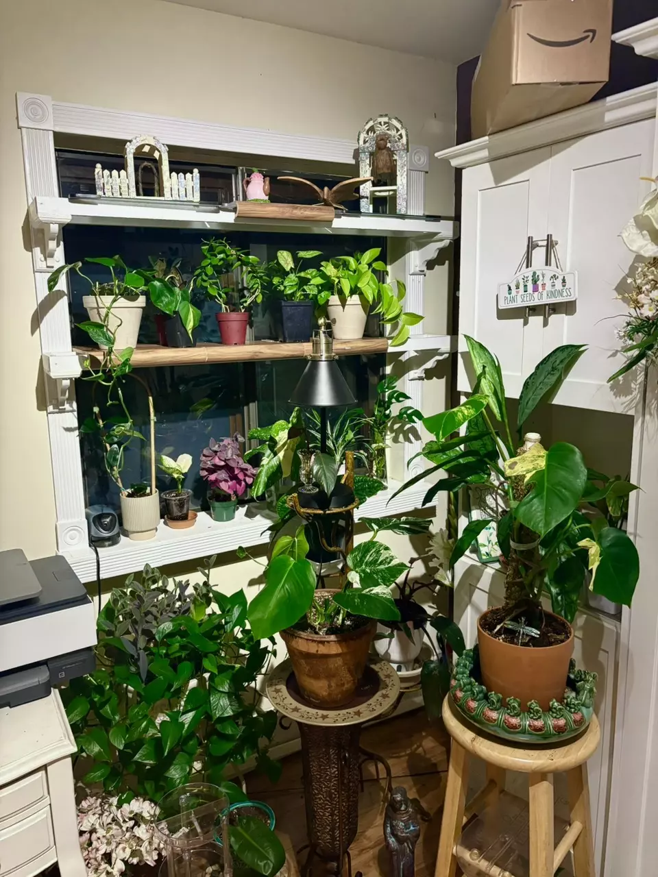 plant/Rooting charge-0