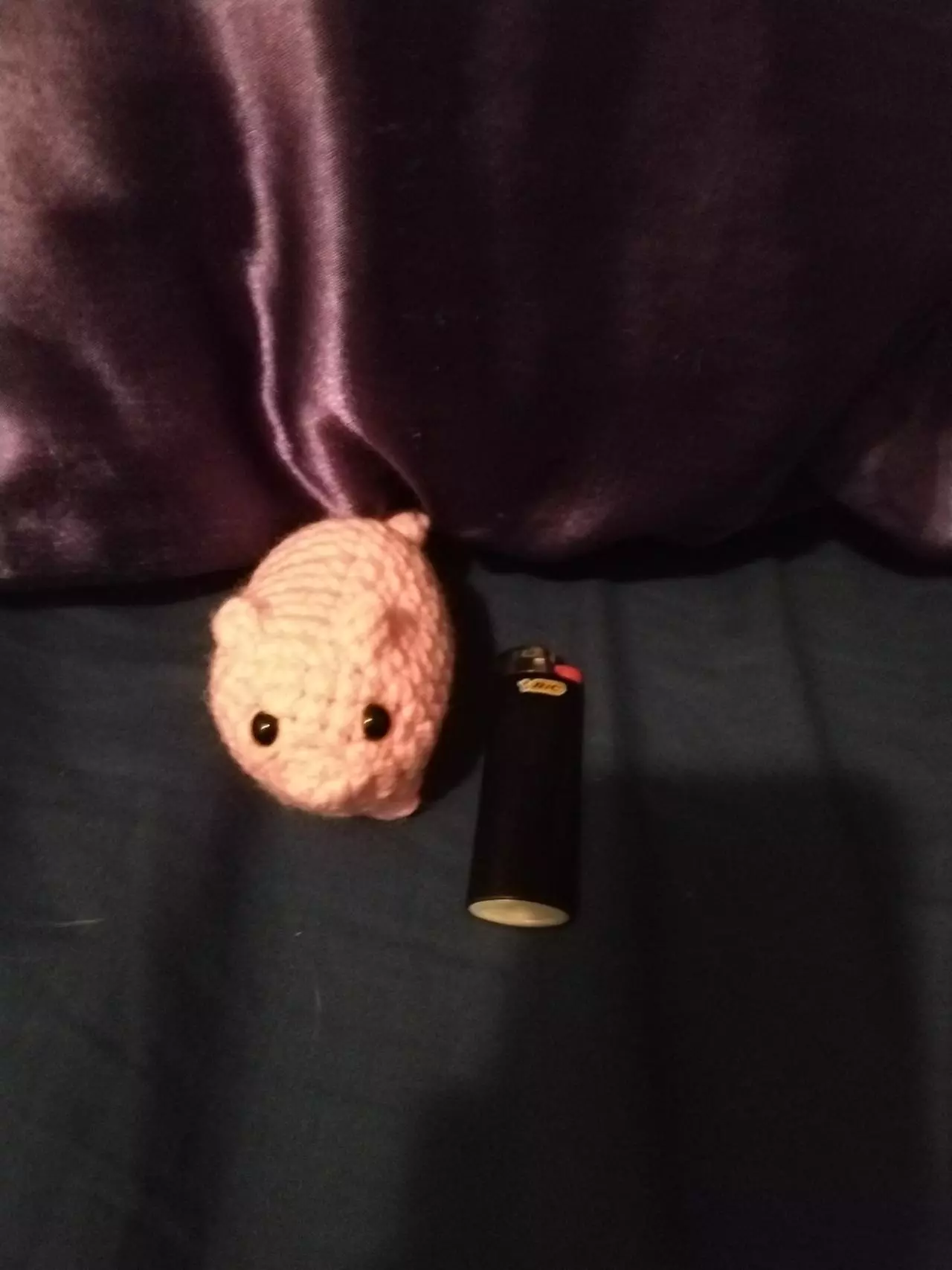 plant/Piggy-1