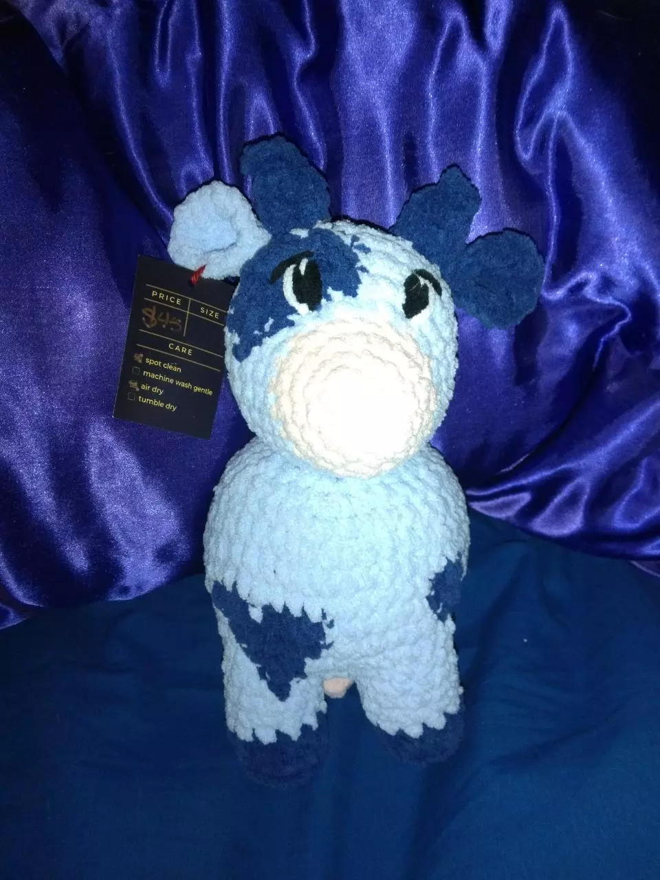plant/Blueberry cow-0
