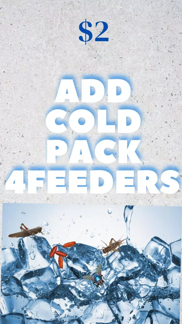 plant/ADD COLD PACK 4FEEDERS-0