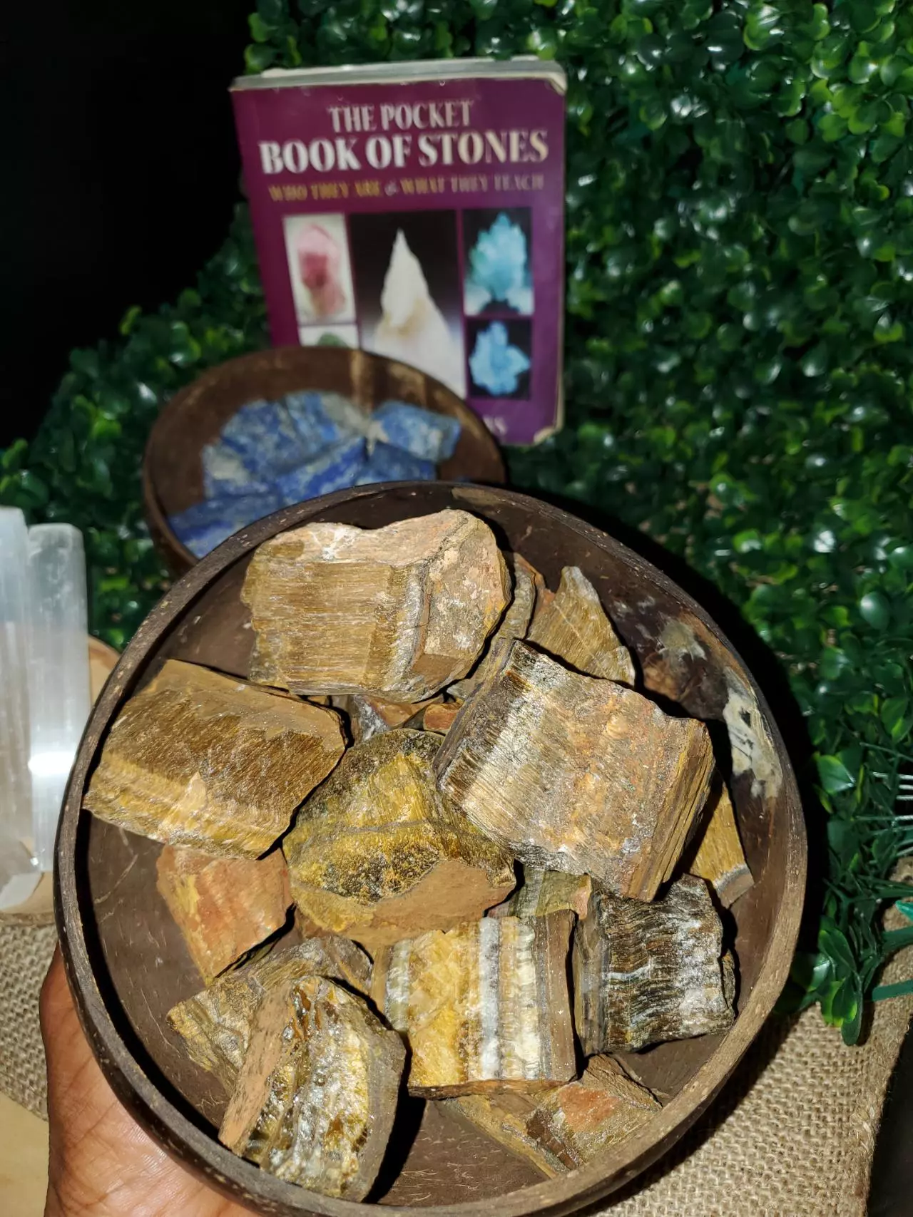 plant/🛡 "Shield & Expel" Smudge Bouquets 💐-4