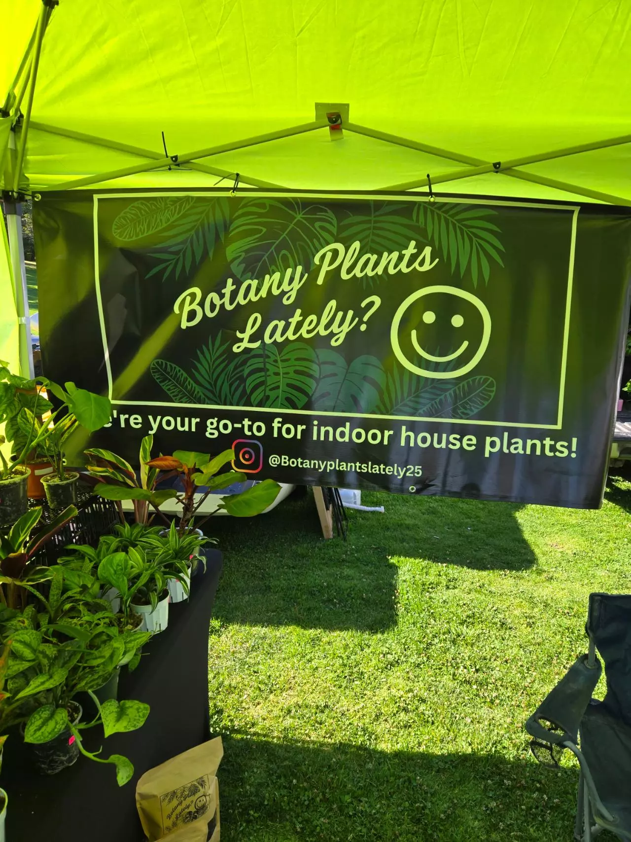 free_shipping/PR phytosanitary certificate-0