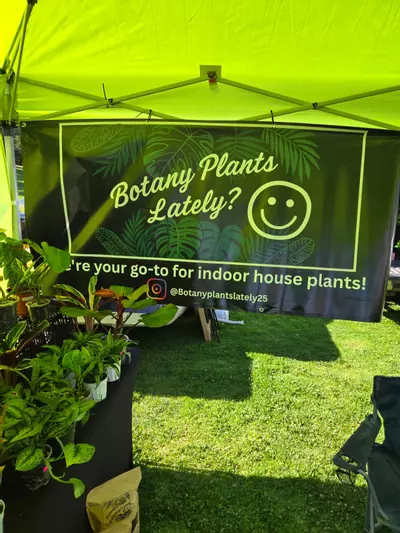 free_shipping/PR phytosanitary certificate-0-thumbnail