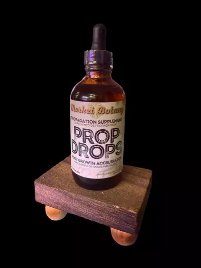 plant/Prop Drops by @Market Botany-0-thumbnail