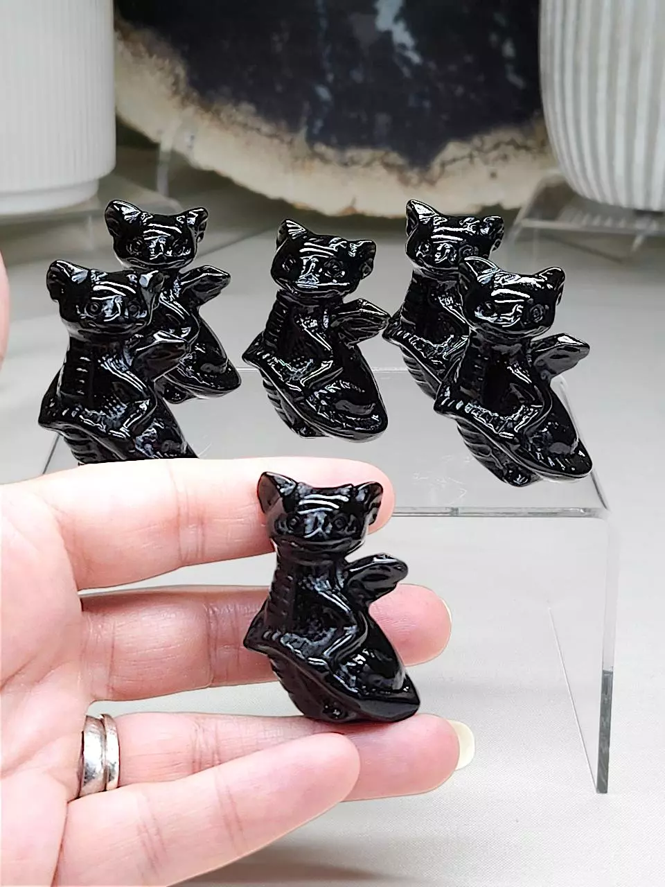 plant/Obsidian mini baby dragon-0