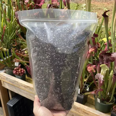plant/Carnivorous Plant potting mix.-0-thumbnail
