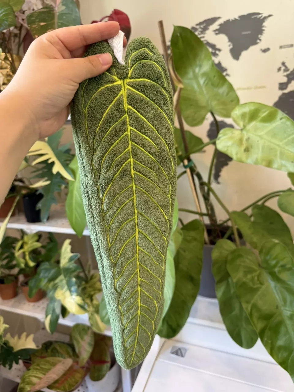 plant/Anthurium Queen Leaf Towel-2
