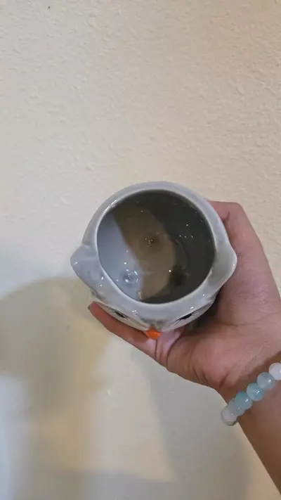 plant/Owl Pot-1-thumbnail