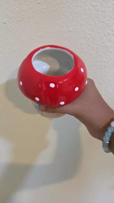 plant/Mushroom Red Polka dot Pot-1-thumbnail