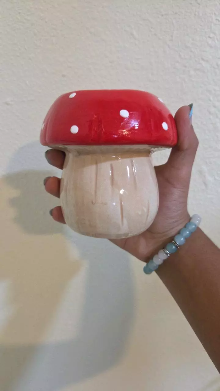 plant/Mushroom Red Polka dot Pot-0