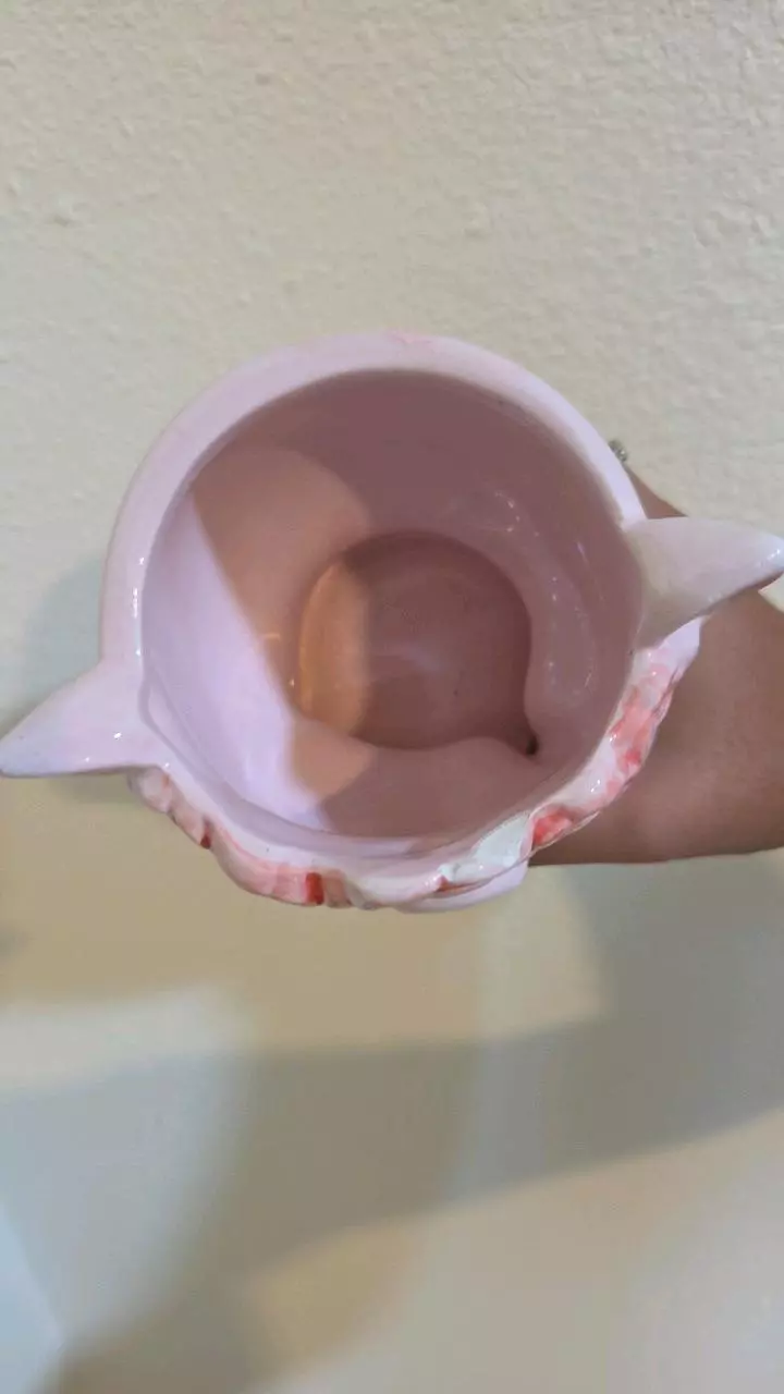 plant/Princess Pig Pot-1