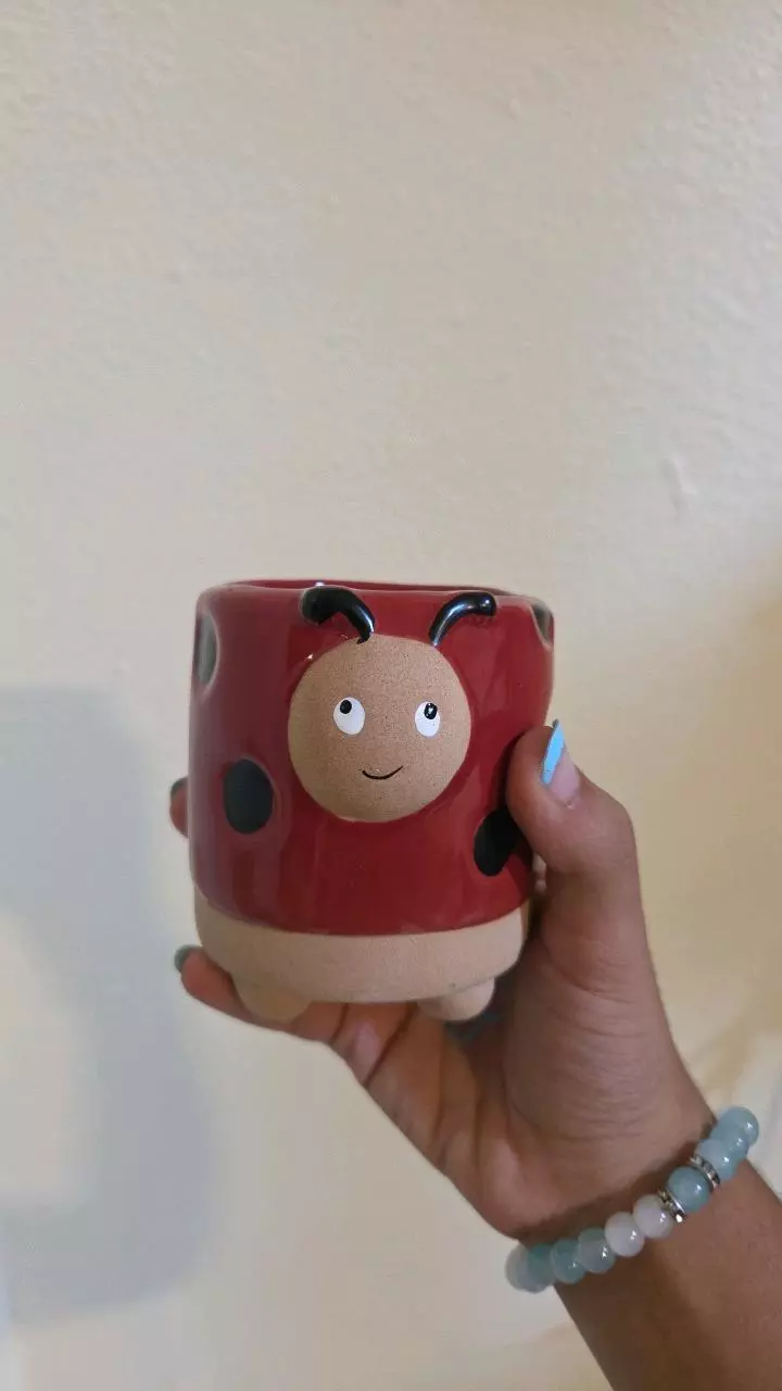 plant/Ladybug pot-0
