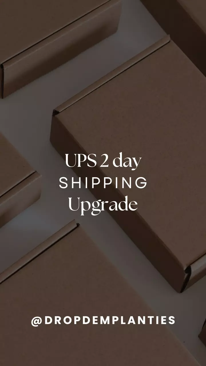 shipping_upgrade/UPS 2 day shipping upgrade-0