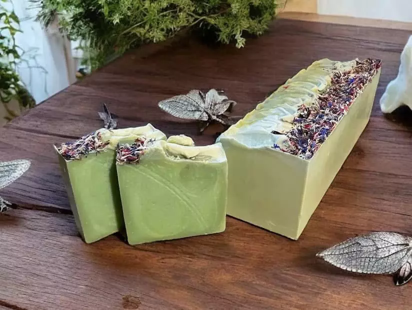 plant/“Dragonfly” Goats Milk Soap-0