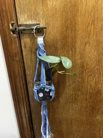 plant/Macrame Plant Hanger (Thick)-2-thumbnail