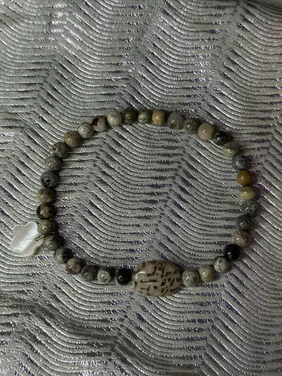 plant/Petrified Wood/Tiger Skin Jasper/Mother of Pearl Charm Stretch Bracelet-0-thumbnail