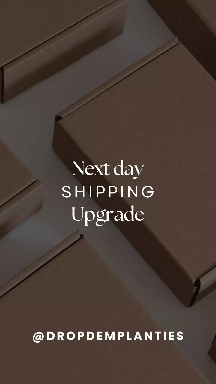 shipping_upgrade/UPS Next Day shipping upgrade-0