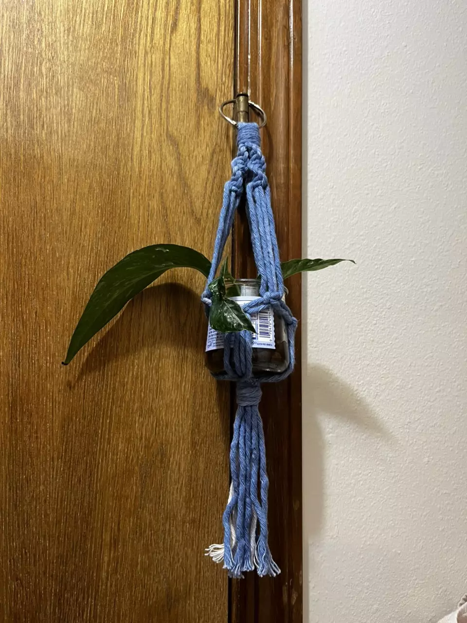 plant/Macrame Plant Hanger (Thick)-1