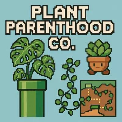 plant/Hoya fitchii for Darci-0-thumbnail