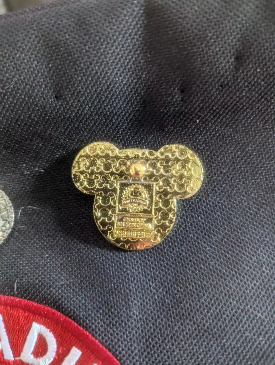 plant/Hollywood Tower Hotel 🏨 Mickey head pin-1