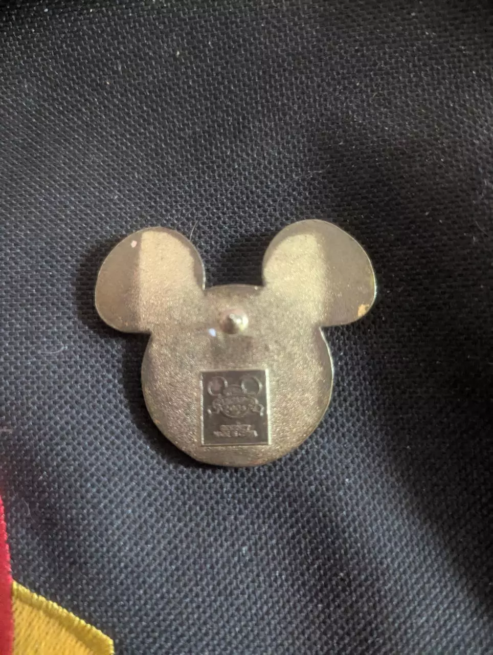 plant/Rainbow Mickey head pin-1