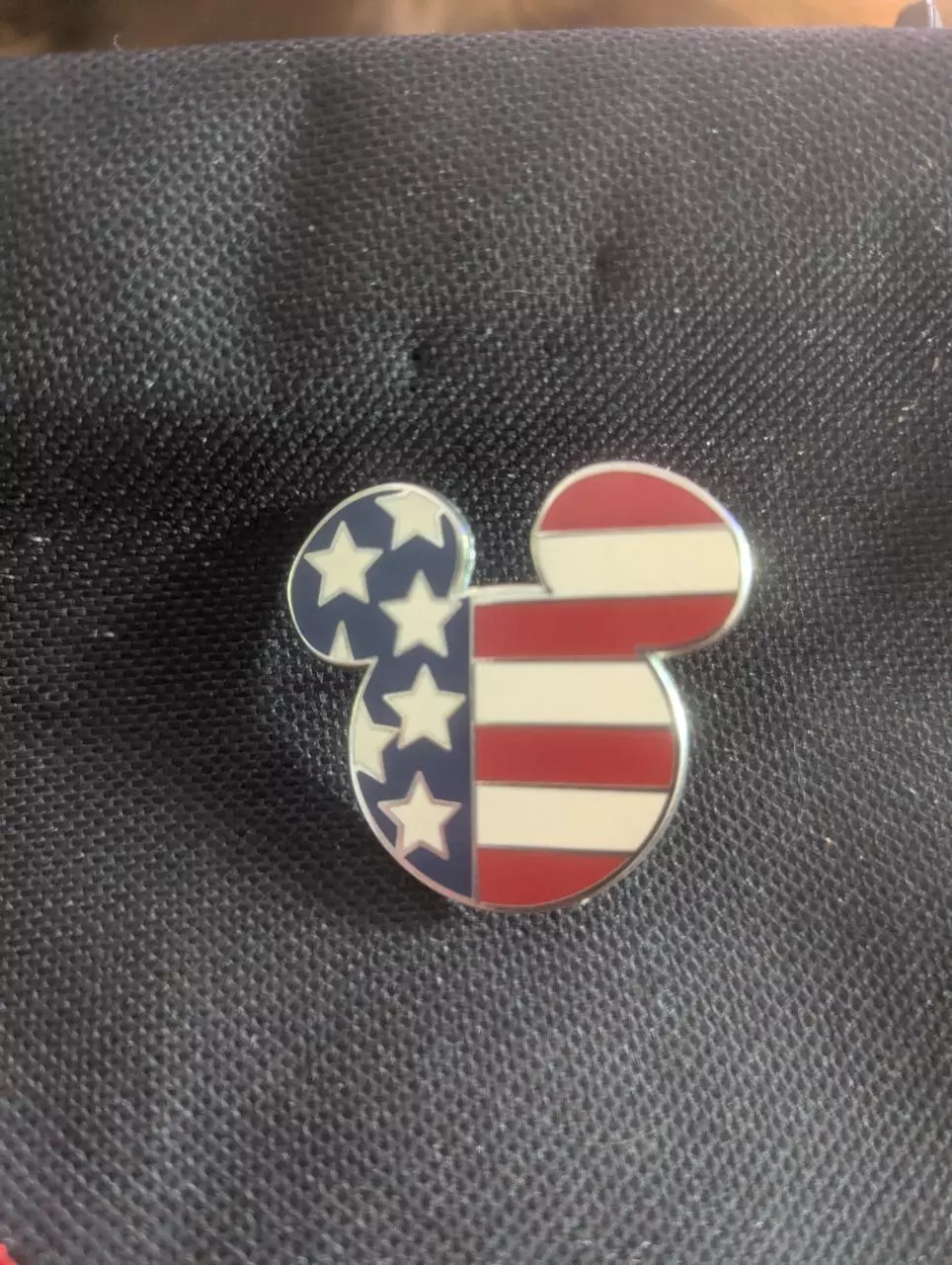 plant/America Mickey head pin-0