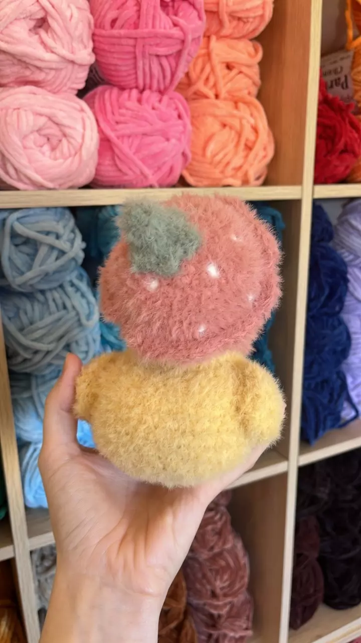 plant/🍓🐥Fuzzy/Weighted Fruit Hat Ducky-2