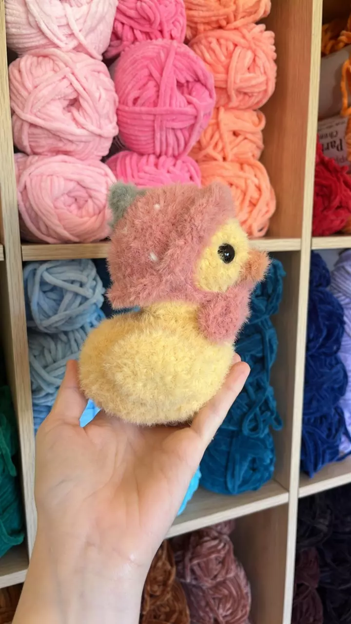 plant/🍓🐥Fuzzy/Weighted Fruit Hat Ducky-1