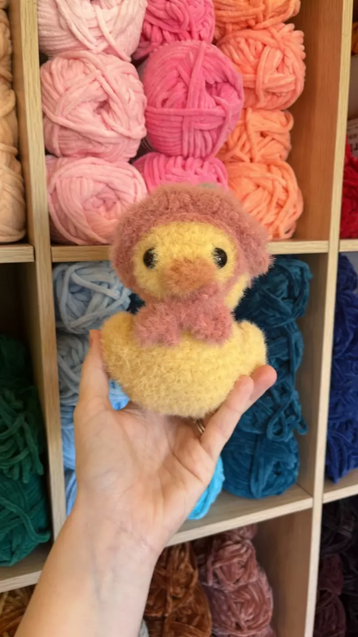 plant/🍓🐥Fuzzy/Weighted Fruit Hat Ducky-0