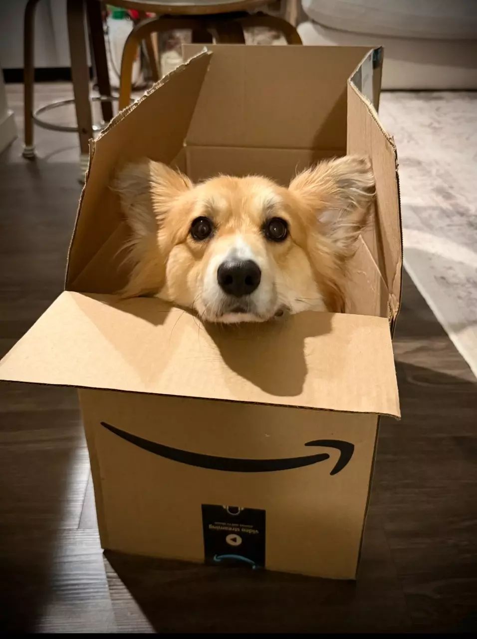 shipping_upgrade/Next day shipping upgrade-0